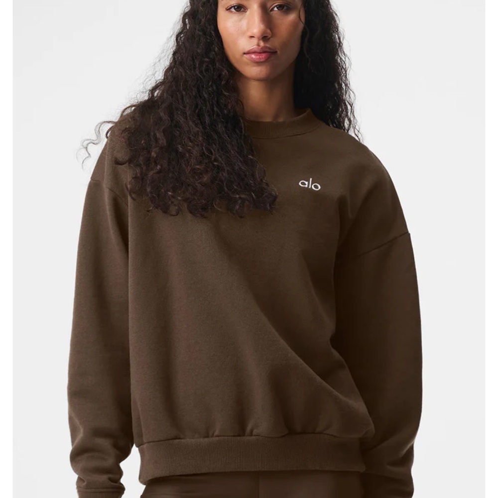 ALO Yoga Accolade Brown Crewneck Sweater size L-XL